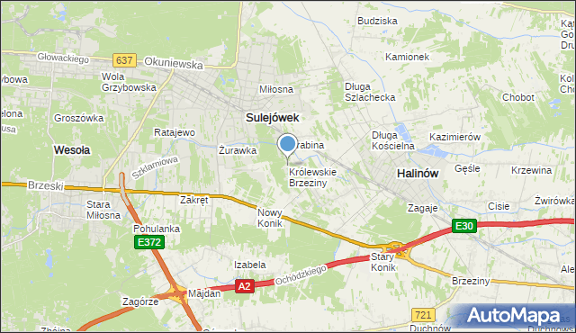 mapa Królewskie Brzeziny, Królewskie Brzeziny na mapie Targeo